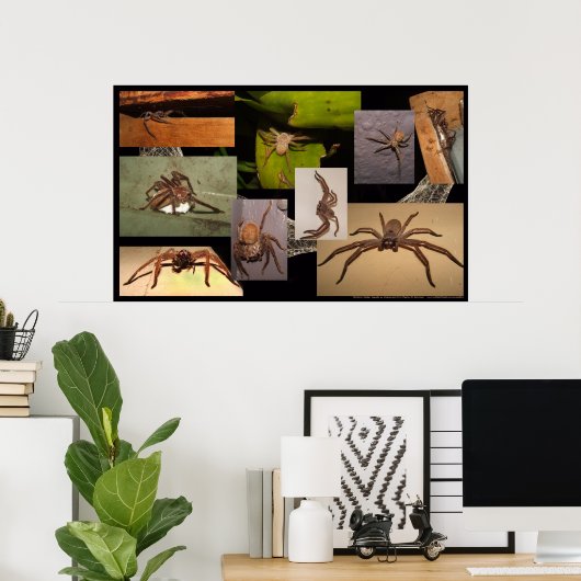 Huntsman Spider Poster (Thuiskantoor)