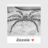 Huntsman Spider Sticker (Vel)