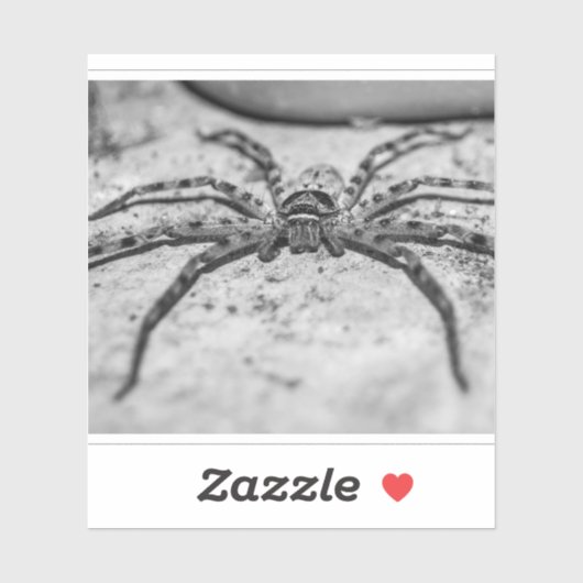 Huntsman Spider Sticker (Vel)