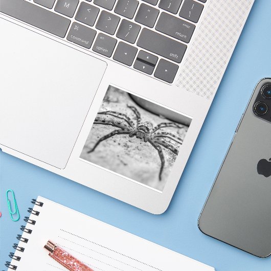 Huntsman Spider Sticker (Laptop met iPhone)