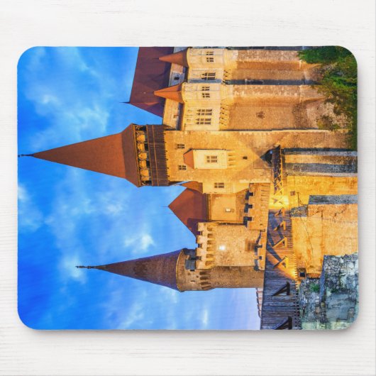 Hunyad Castle - Corvin's Castle in Hunedoara. Muismat (Voorkant)