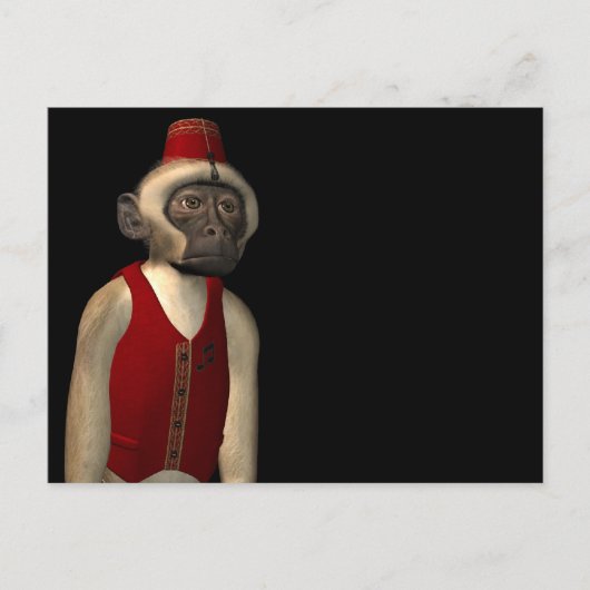 Hurdy Gurdy 3D Music Monkey 11 Briefkaart (Voorkant)