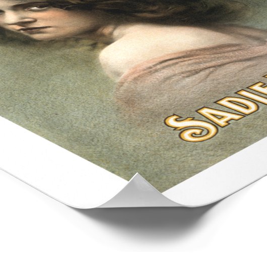 Hurly Burly Extravaganza - Sadie Harris Poster (Hoek)