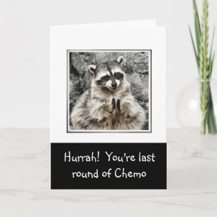 Hurrah. Cute Racoon Clapping Funny Last Chemo Feestdagen Kaart