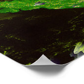 Hurrican Fran Off Florida - Satelliet Afbeelding 1 Poster (Hoek)