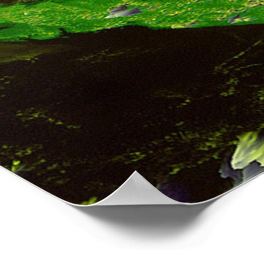 Hurrican Fran Off Florida - Satelliet Afbeelding 1 Poster (Hoek)