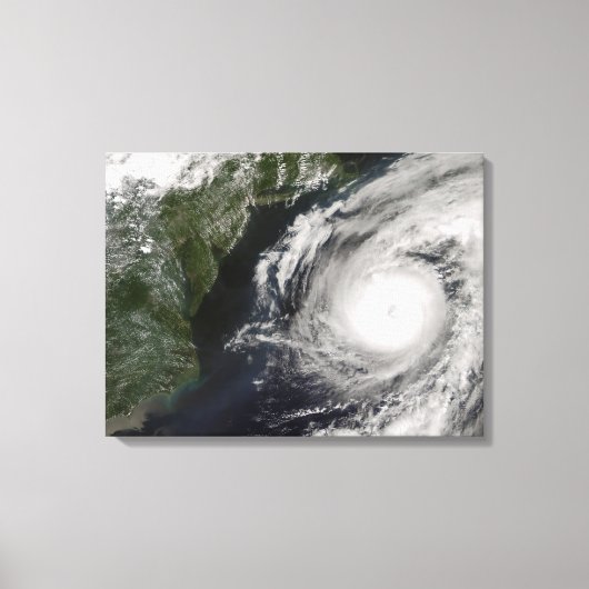 Hurricane Alex Canvas Afdruk (Voorkant)
