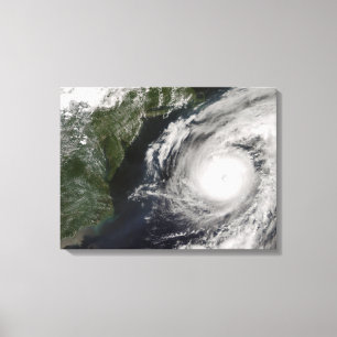 Hurricane Alex Canvas Afdruk