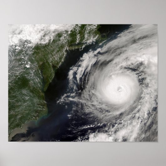 Hurricane Alex Poster (Voorkant)