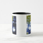 Hurricane Andrew Mok (Midden)