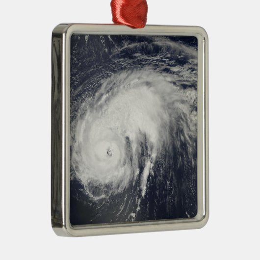 Hurricane Danielle Metalen Ornament (Rechts)