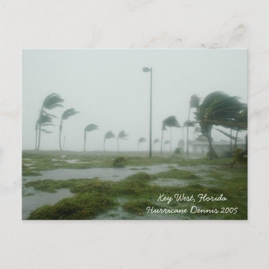 Hurricane Dennis 2005 Key West Florida Briefkaart (Voorkant)