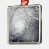 Hurricane Felicia Metalen Ornament (Links)