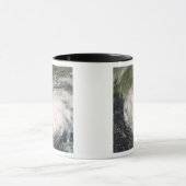 Hurricane Gustav Mok (Midden)