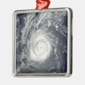 Hurricane Julia Metalen Ornament (Links)