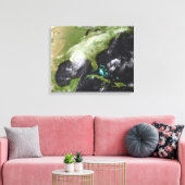 Hurricane Katrina Canvas Afdruk (Insitu (Woonkamer))