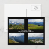 Hurricane Ridge Briefkaart (Voorkant / Achterkant)
