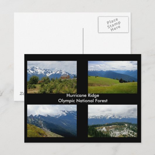 Hurricane Ridge Briefkaart (Voorkant / Achterkant)