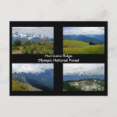 Hurricane Ridge Briefkaart (Voorkant)