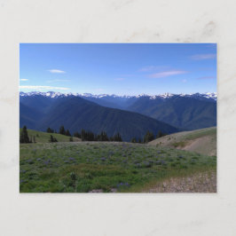 Hurricane Ridge - briefkaart van het Nationaal Par