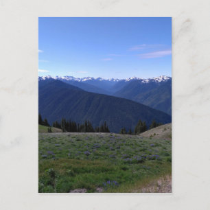 Hurricane Ridge - Briefkaart van het Nationaal Par