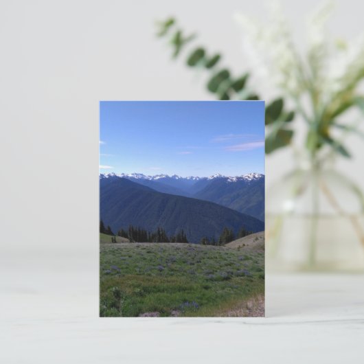 Hurricane Ridge - Briefkaart van het Nationaal Par (Staand voorkant)