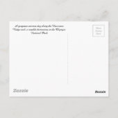 Hurricane Ridge - Briefkaart van het Nationaal Par (Achterkant)