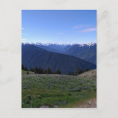 Hurricane Ridge - Briefkaart van het Nationaal Par (Voorkant)