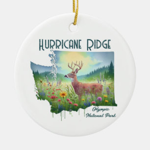 Hurricane Ridge National Park Souvenir Gift Keramisch Ornament