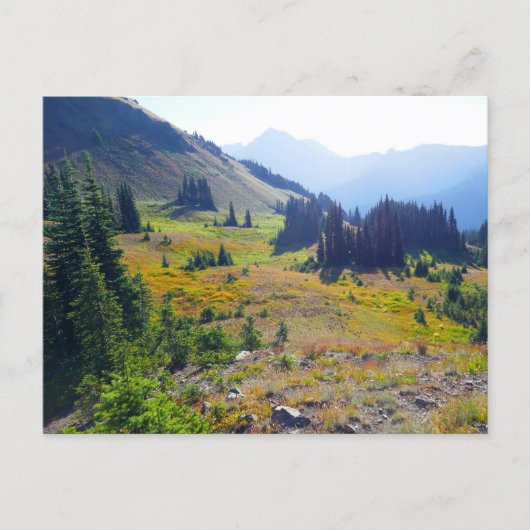 Hurricane Ridge Trail Briefkaart (Voorkant)