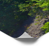 Hurricane Ridge Trail Poster (Hoek)