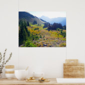 Hurricane Ridge Trail Poster (Keuken)