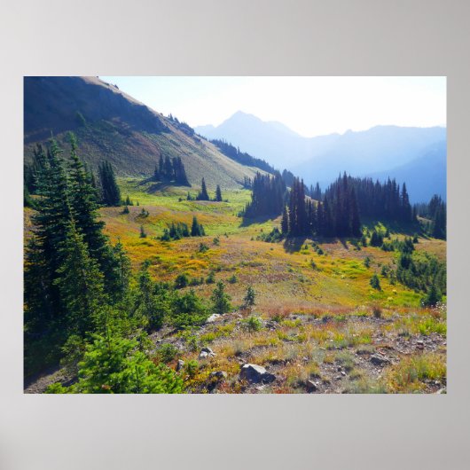 Hurricane Ridge Trail Poster (Voorkant)