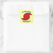Hurricane Sandy Symbol Vierkante Sticker (Tas)