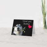 Husband Happy Birthday Cute Husky Dog Kaart<br><div class="desc">Een schattige husky hond heeft een olijftak en de woorden: "Olijf je maar!" Een leuke verjaardag voor je man op een leuke manier!</div>