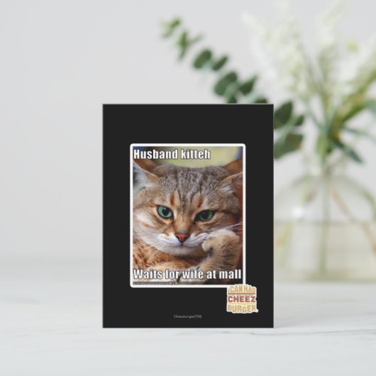 Husband Kitteh Briefkaart (Staand voorkant)