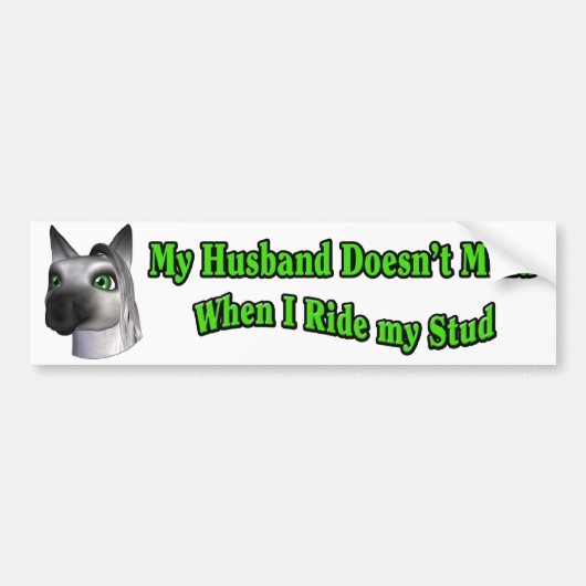 Husband Ride Stud Bumpersticker Horse Funny (Voorkant)