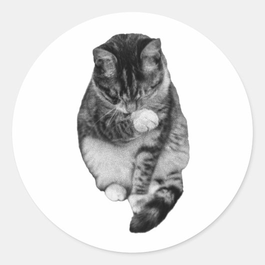 Hush-Tail-metgezel Ronde Sticker (Voorkant)
