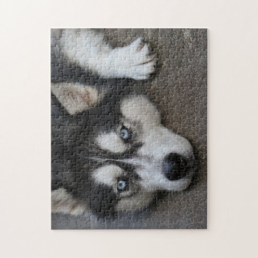 Huskey Blue Eyes Legpuzzel (Verticaal)