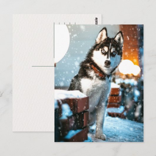 Huskey Pet Dog Foto Briefkaart (Voorkant / Achterkant)