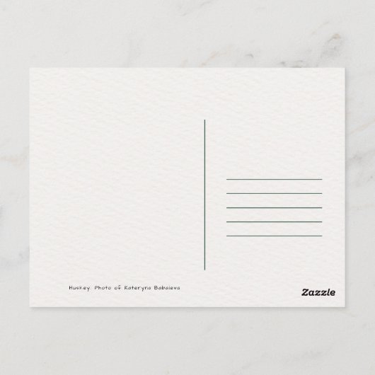 Huskey Pet Dog Foto Briefkaart (Achterkant)