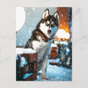 Huskey Pet Dog Foto Briefkaart