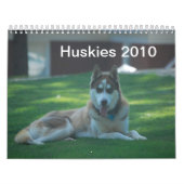 Huskies 2010 kalender (Hoes)