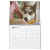 Huskies 2010 kalender (Mar 2027)