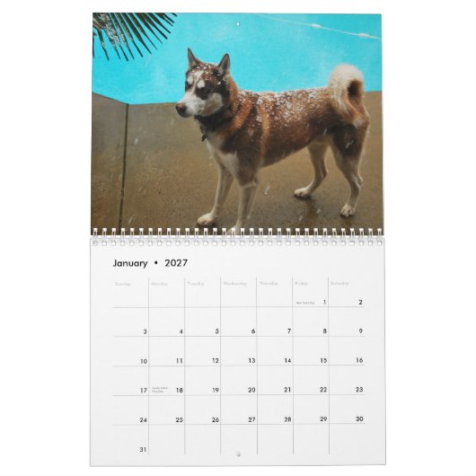 Huskies 2010 kalender (Jan 2027)