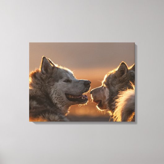 Huskies Dogs Foto Canvas Afdruk (Voorkant)