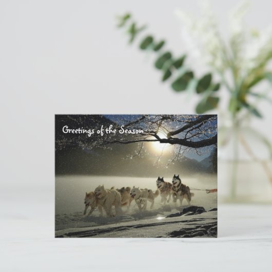 Huskies Husky Holiday Sled Dog Briefkaart voor ker (Staand voorkant)