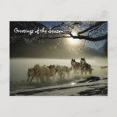 Huskies Husky Holiday Sled Dog Briefkaart voor ker (Voorkant)