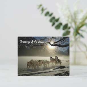 Huskies Husky Vakantie Slede Hond Kerstmis Ansicht Briefkaart