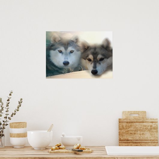 Huskies poster (Keuken)